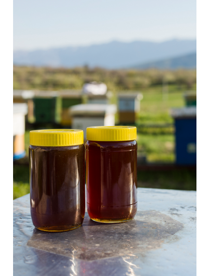 Erzurum Naturel Çiçek Balı (Süzme) 1 kg.