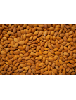 Gün Kurusu Kayısı Çekirdeği 1 kg. Gün Kurusu Kayısı Çekirdeği 1 kg.