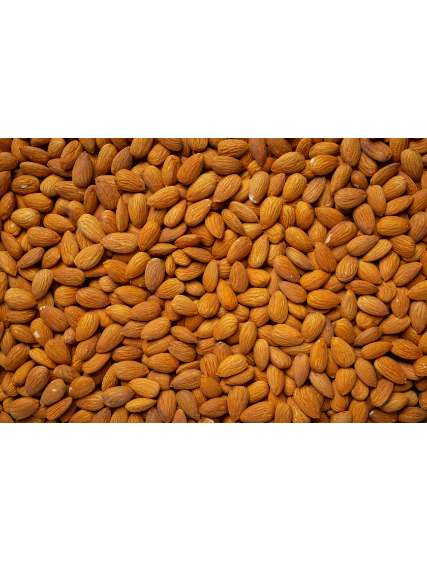 Gün Kurusu Kayısı Çekirdeği 1 kg. Gün Kurusu Kayısı Çekirdeği 1 kg.