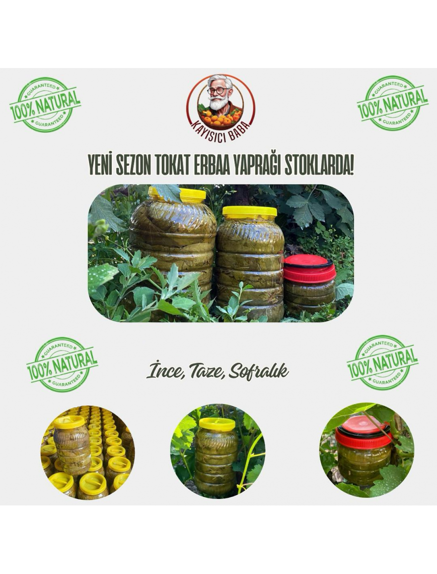 Tokat Salamura Asma Yaprağı 3 kg. Tokat Salamura Asma Yaprağı 3 kg.