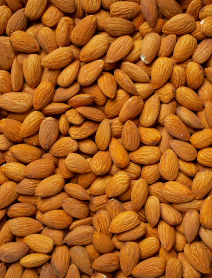 İslimli Kayısı Çekirdeği 1 kg. (Tatlı & Kavrulmamış) İslimli Kayısı Çekirdeği 1 kg. (Tatlı & Kavrulmamış)