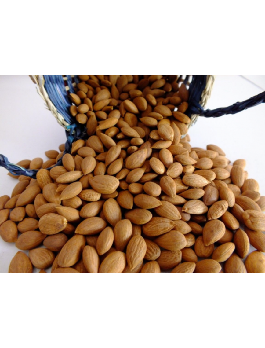 İslimli Kayısı Çekirdeği 1 kg. İslimli Kayısı Çekirdeği 1 kg.